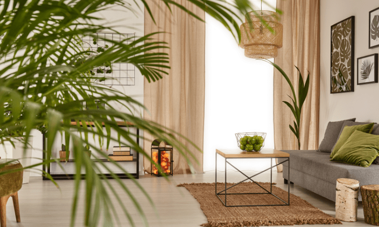 Decoración con plantas de interior: Ideas y beneficios para transformar tu hogar