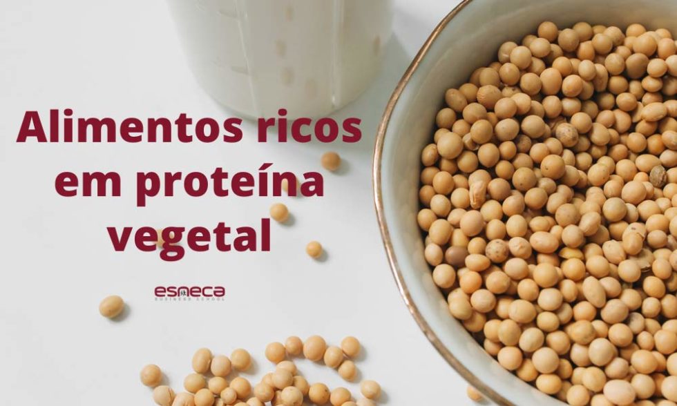Alimentos Ricos Em Proteína Vegetal Fáceis De Preparar Esneca 5679